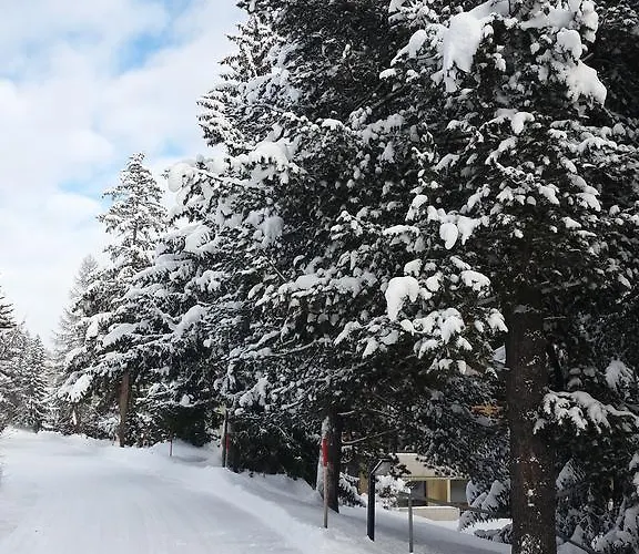 Ferienwohnung Sesvenna Davos Апартаменты *